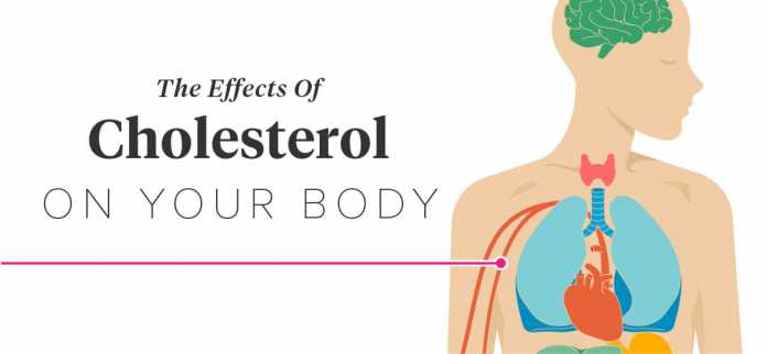 Cholesterol & It’s Impacts