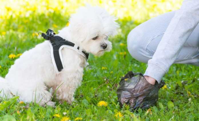 Pet Dog Waste Bags