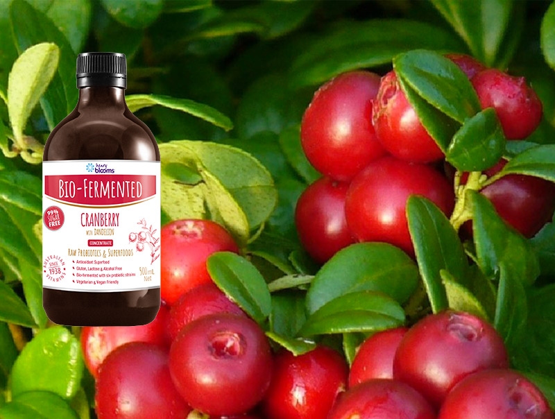 Bio-Fermented Cranberry with Dandelion: