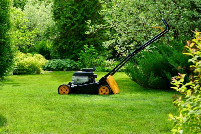 Garden Maintenance Service, What Should You Expect To Pay
