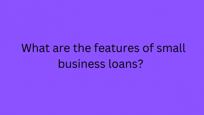 What are the features of small business loans