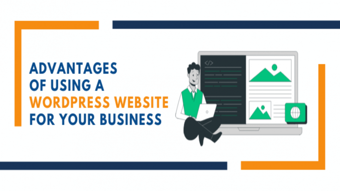 Advantages of Using a WordPress Website for Your Business