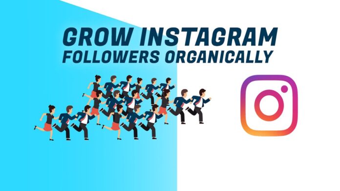 get Instagram followers