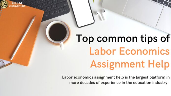 Labor Economics Assignment Help