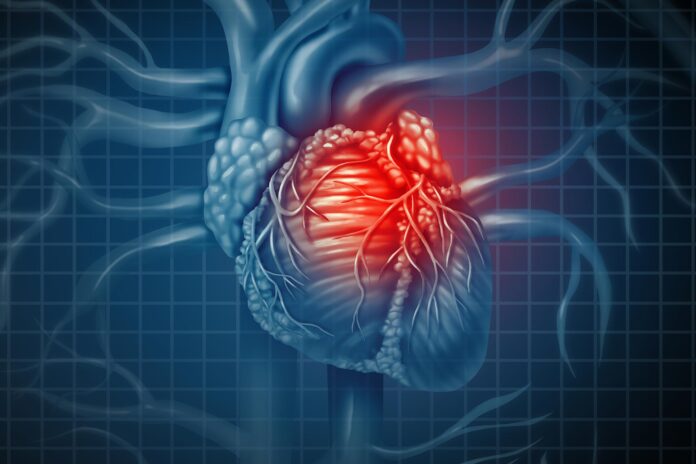 Risk Factors and Causes of Heart Illness