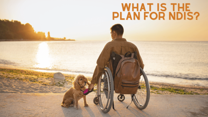 What is the plan for NDIS