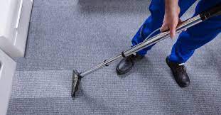 How to Choose the Right Professional Carpet Cleaner for Your Home