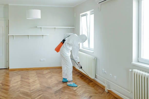 Is Pest Control Better Than DIY?