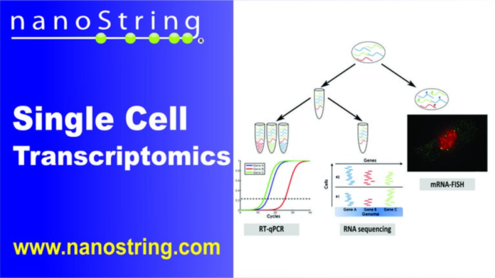 single cell spatial transcriptomics protocols and analysis