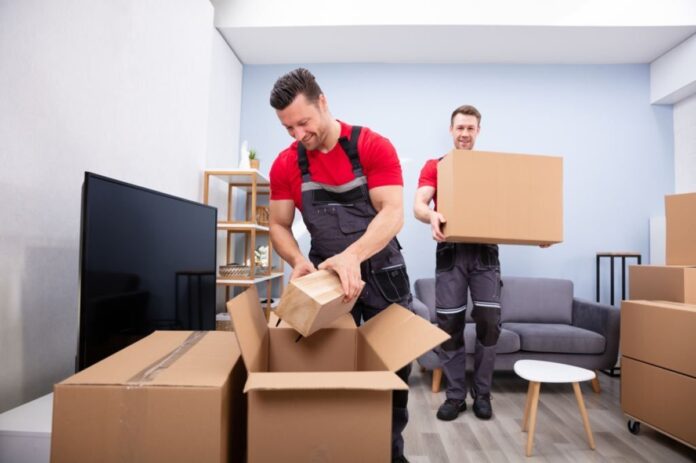 best movers and packers in dubai