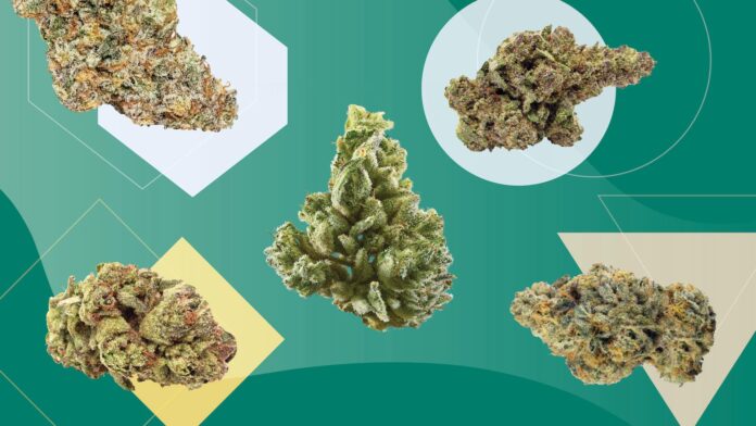 Which Marijuana Strains Should I Buy?