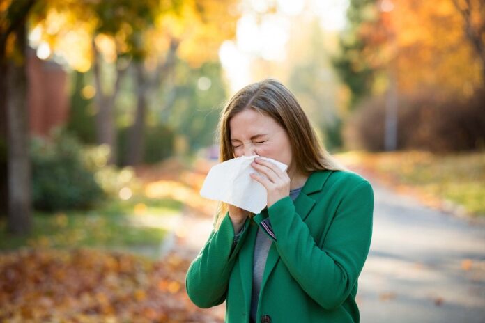 The Pollen Count How Weather Conditions Affect Seasonal Allergies