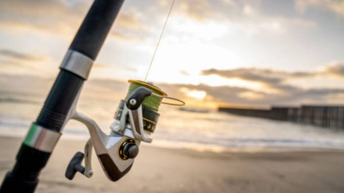Fishing Reels Choosing the Perfect Gear for Your Angling Adventures