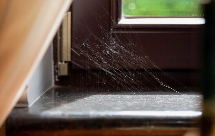 Maintaining a Cobweb-Free Environment:Regular Cobweb Cleaning and Prevention Strategies