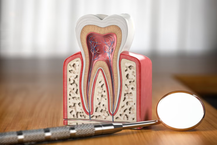 Root Canals pittsburgh pa