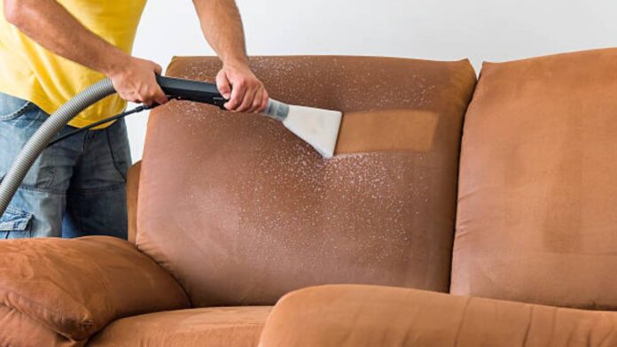 Why Sofa Shampooing is the Best Way to Clean Your Sofa