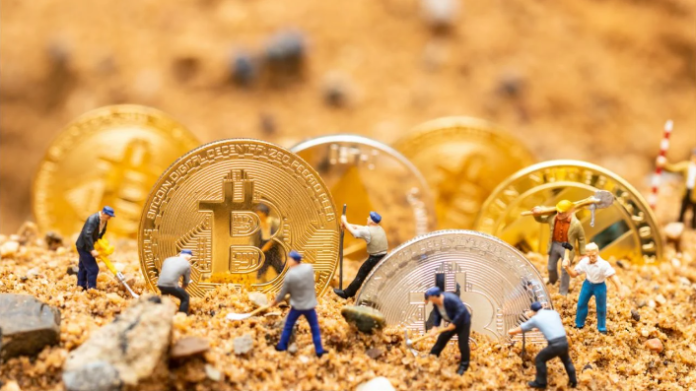 IvoryHash: Pioneering the Future of Bitcoin Mining