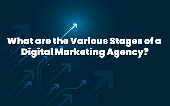 Digital Marketing Agency