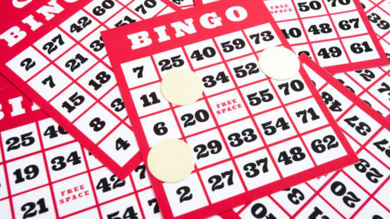 First Time Playing Bingo! Time to Talk The Talk! - Businessfig