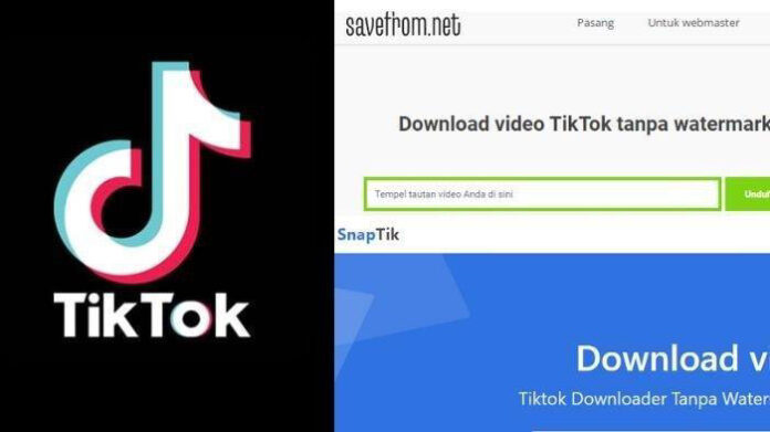 SnapTik - Download TikTok Video Tanpa Ribet