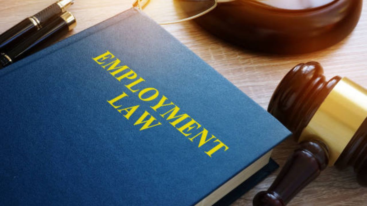 Understanding Employment Law Essentials Know Your Rights As An Employee Businessfig 