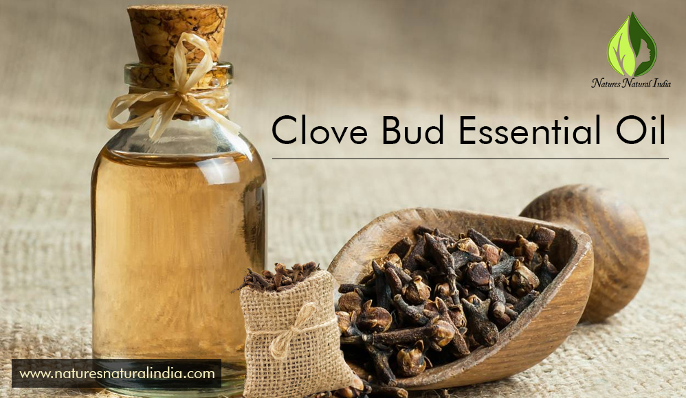 An All-Natural Treasure For Dental Health: Clove Bud Essential Oil