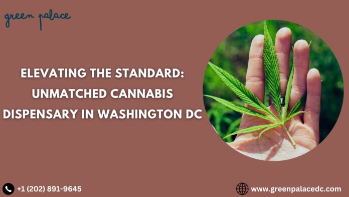 Elevating the Standard: Unmatched Cannabis Dispensary in Washington DC