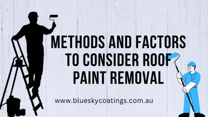 Roof Paint Removal