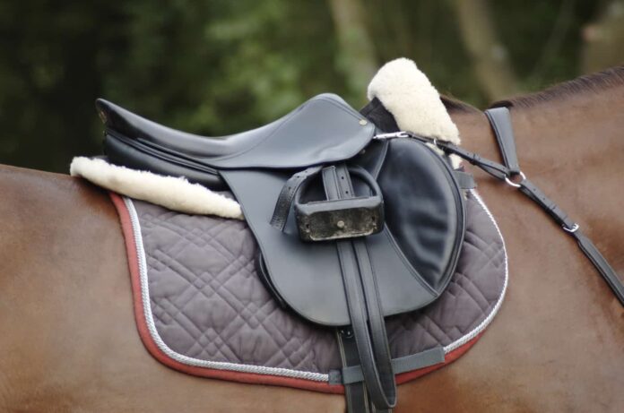 Jump Saddle