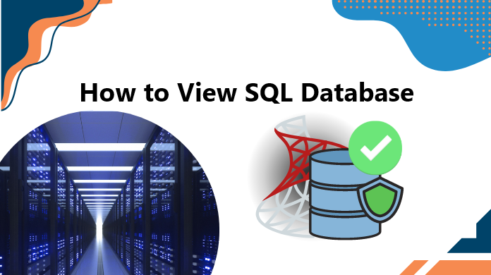 How to view sql database