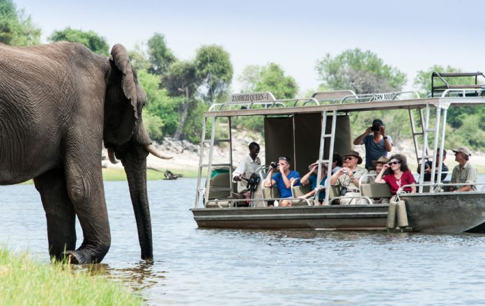 Exploring the Heart of the Wild: Accommodation in Chobe National Park