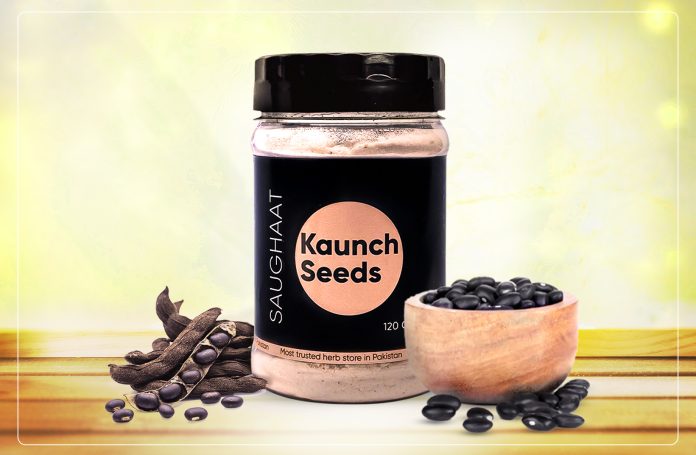 Kaunch Seeds