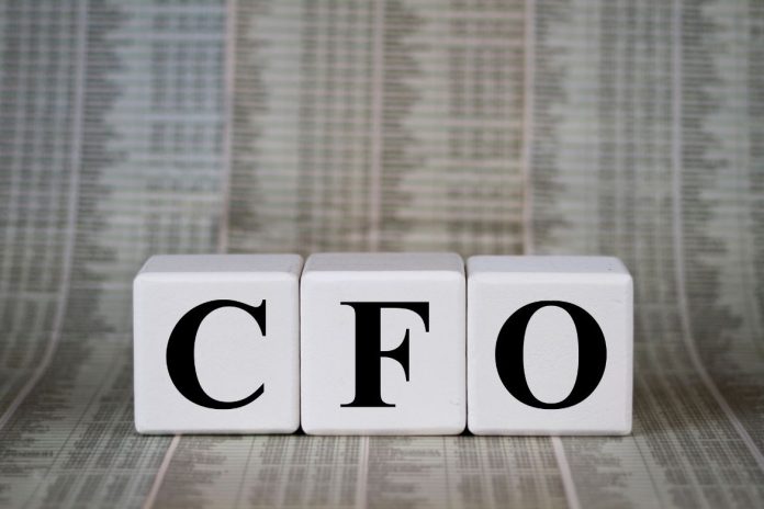 What Does a Small Business CFO Do Responsibilities and Duties