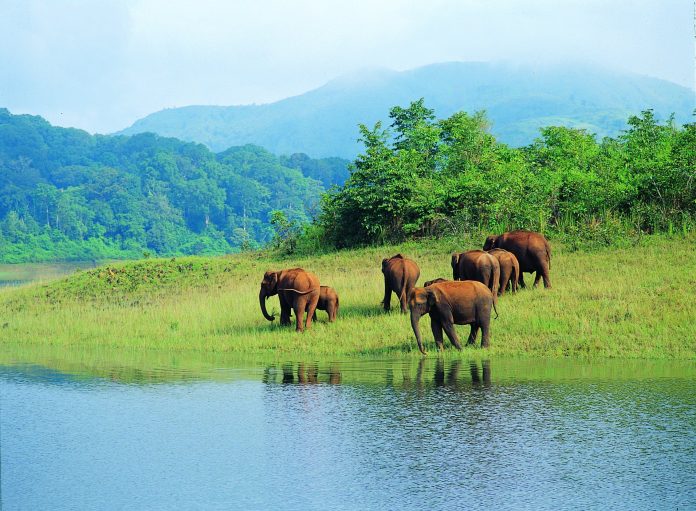 The Top Wedding Venues in Jim Corbett National Park