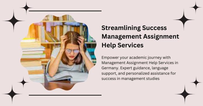 Management Assignment Help Services