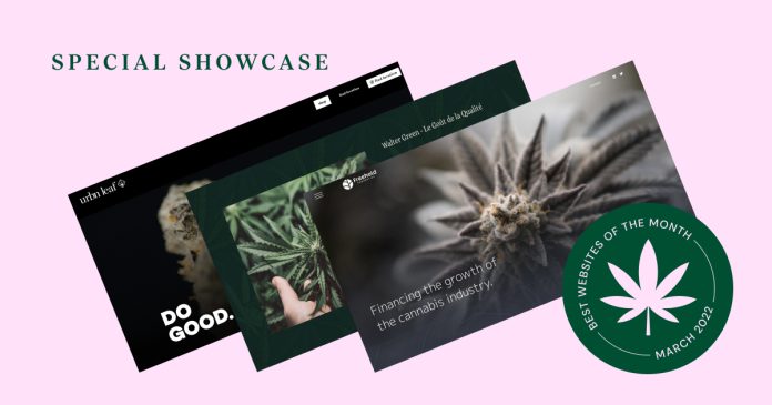 CBD newsletter designning