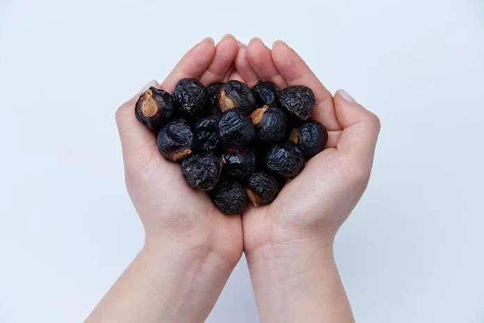 soap berries