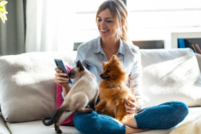 Pet Sitting Business