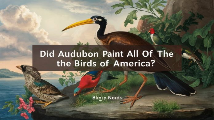 Did Audubon paint all of The Birds of America