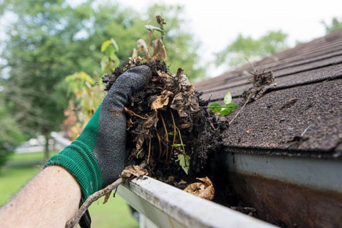 Essential Tips for Effective Indianapolis Gutter Cleaning