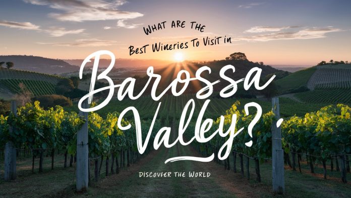 What are the Best Wineries to Visit in Barossa Valley