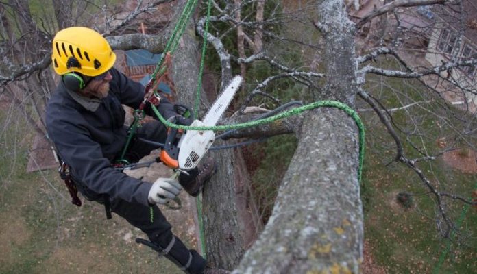 Alien Tree Service