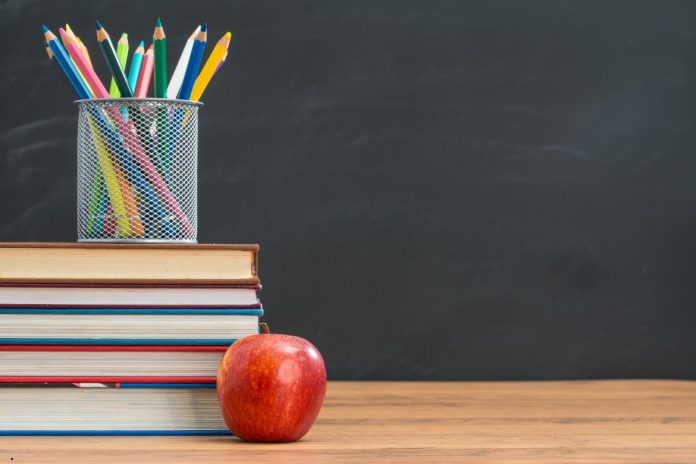 Eco-Friendly School Essentials A Guide for Sustainable Choices