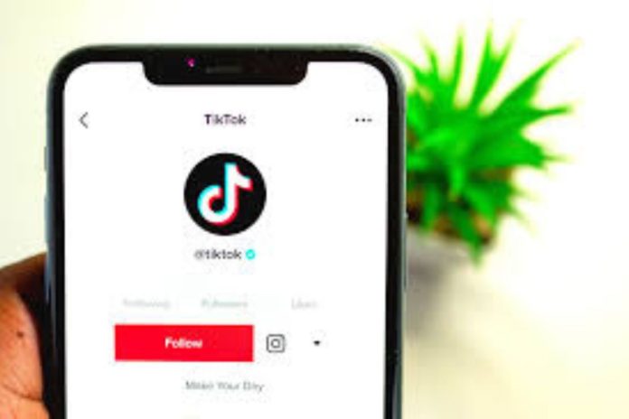 How to Grow Your TikTok Followers Organically Tips and Strategies