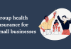 Small Group Health Insurance