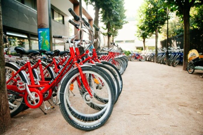 Bike Rentals