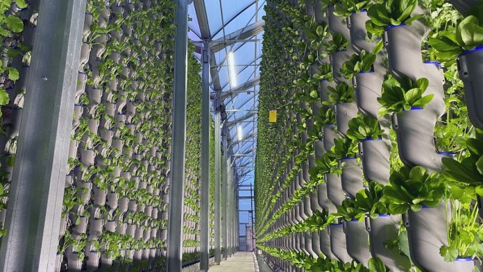 Hydroponics is an agricultural