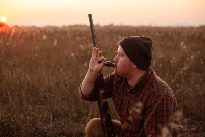 How to Choose the Best Duck Calls for Your Hunting Needs