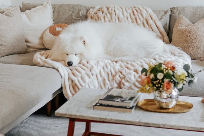 Styling and Sustainability The Appeal of Faux Fur Blankets