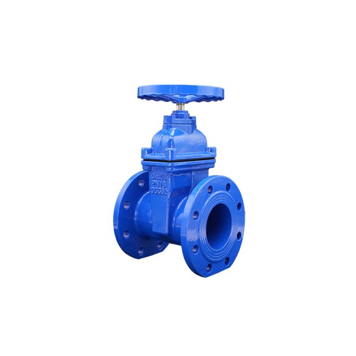 BS5163 gate valve